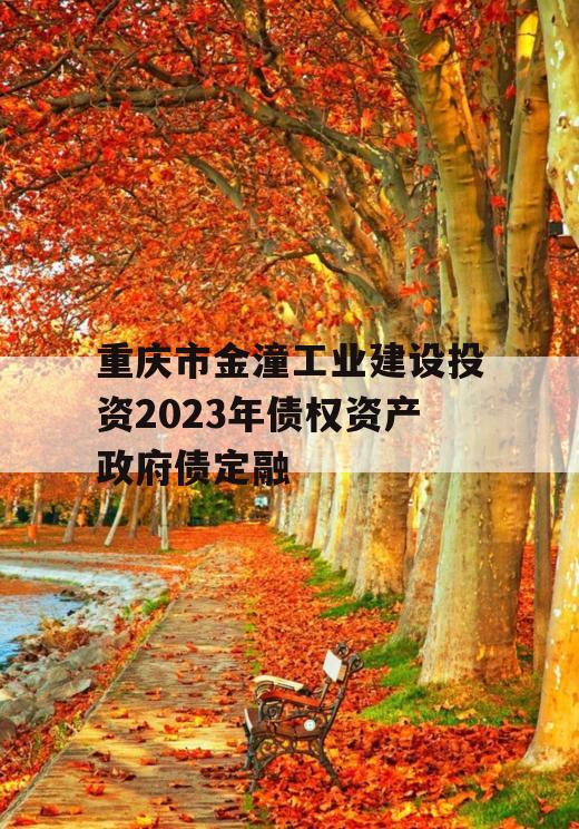 重庆市金潼工业建设投资2023年债权资产政府债定融