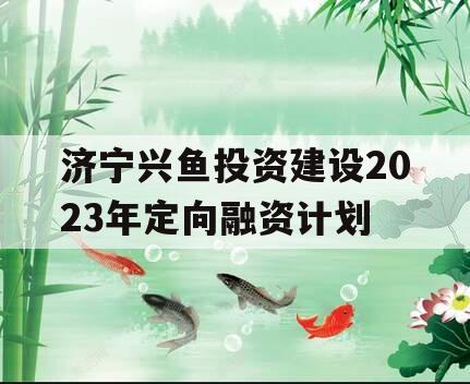 济宁兴鱼投资建设2023年定向融资计划