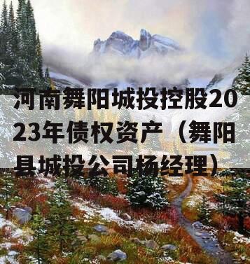 河南舞阳城投控股2023年债权资产（舞阳县城投公司杨经理）