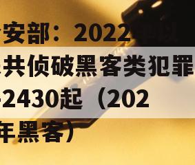 公安部：2022年以来共侦破黑客类犯罪案件2430起（2021年黑客）