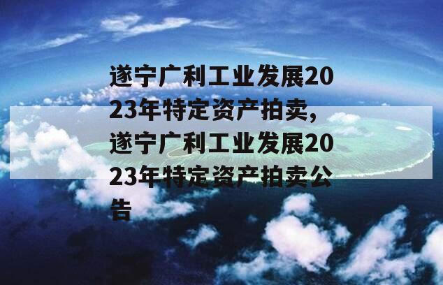 遂宁广利工业发展2023年特定资产拍卖,遂宁广利工业发展2023年特定资产拍卖公告
