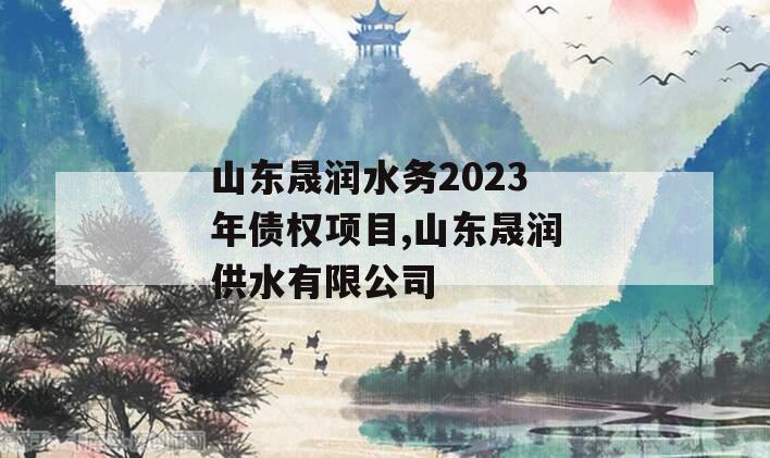 山东晟润水务2023年债权项目,山东晟润供水有限公司