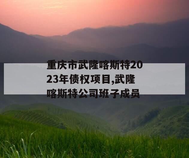 重庆市武隆喀斯特2023年债权项目,武隆喀斯特公司班子成员