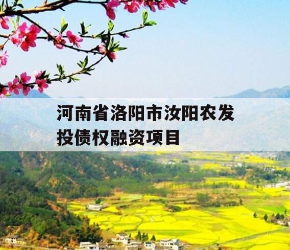 河南省洛阳市汝阳农发投债权融资项目