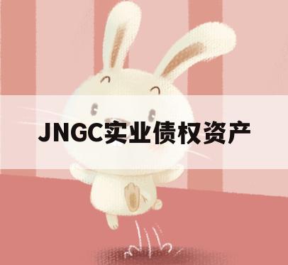 JNGC实业债权资产