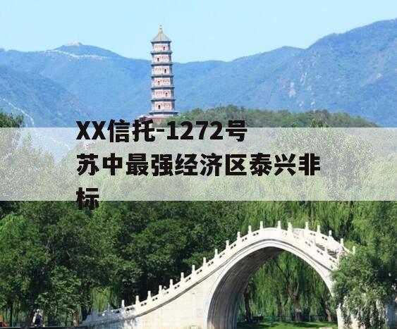 XX信托-1272号苏中最强经济区泰兴非标