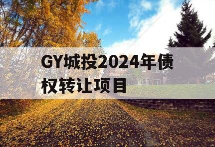 GY城投2024年债权转让项目
