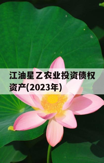 江油星乙农业投资债权资产(2023年)