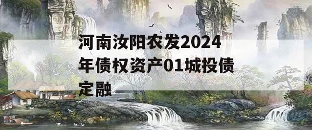 河南汝阳农发2024年债权资产01城投债定融
