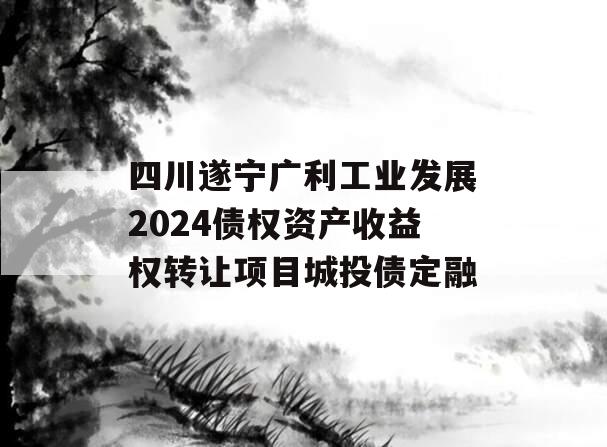 四川遂宁广利工业发展2024债权资产收益权转让项目城投债定融
