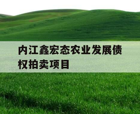 内江鑫宏态农业发展债权拍卖项目