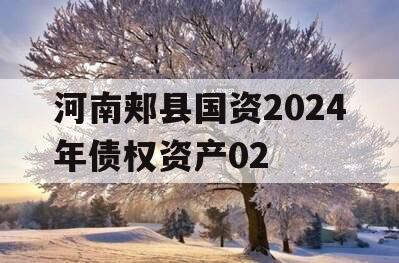 河南郏县国资2024年债权资产02