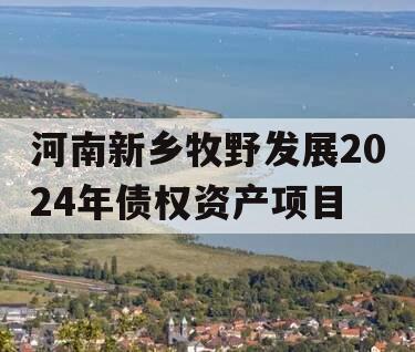 河南新乡牧野发展2024年债权资产项目